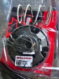 Variatore Malossi Multivar e Cinghia Malossi