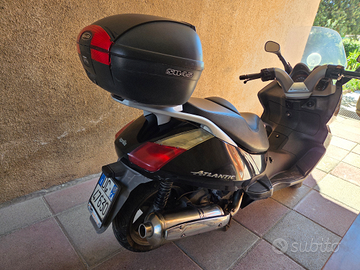 Aprilia 500