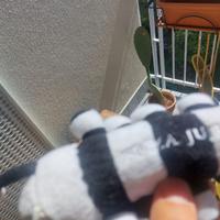 peluche bruco forza juve
