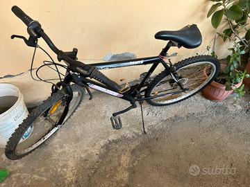 Bicicletta bici Schiano uomo edizione nuova 2024