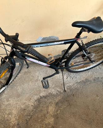 Bicicletta bici Schiano uomo edizione nuova 2024