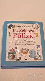 La scienza delle pulizie. Dario Bressanini 