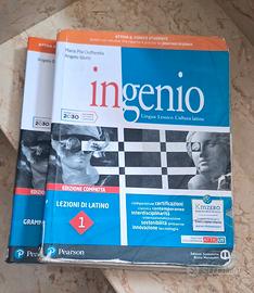 ingenio 1