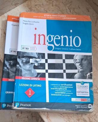 ingenio 1