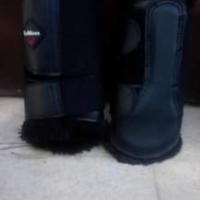 Parastinchi pelo Lemieux, anteriori e posteriori 