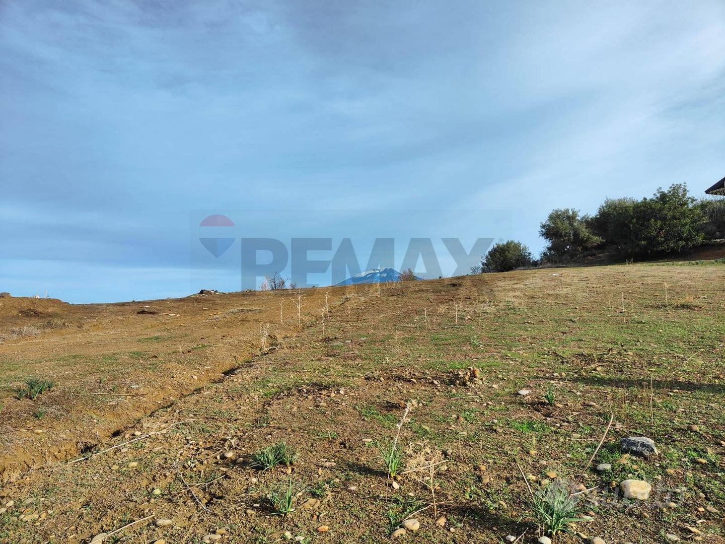 Terreno Edificabile - Motta Sant'Anastasia - Vista 3
