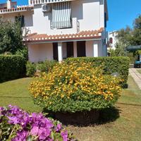 Casa vacanza 300 mt dal mare