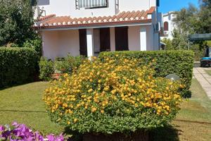 Casa vacanza 300 mt dal mare