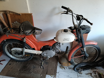 Motorino Guzzi Dingo