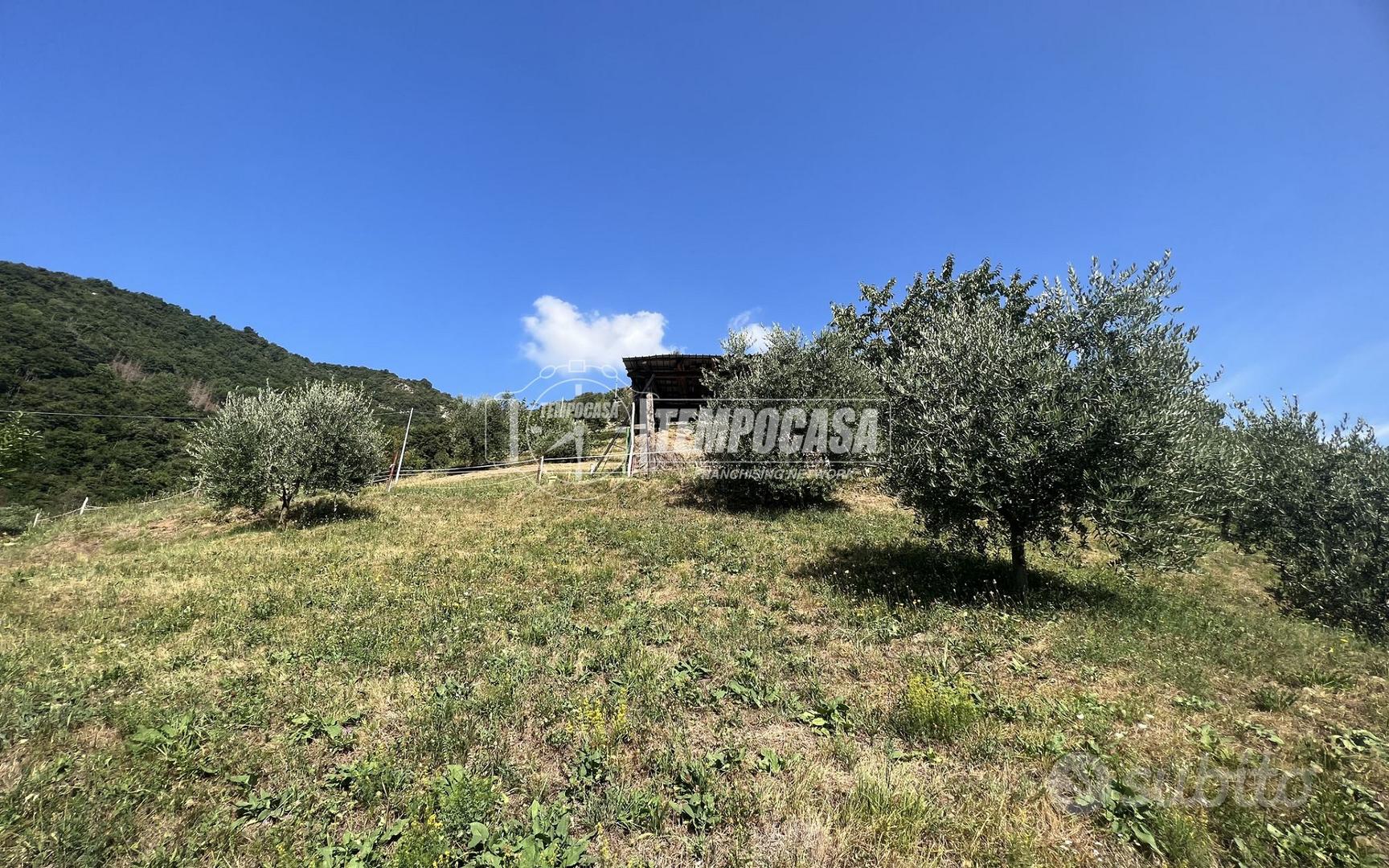 TERRENO AGRICOLO IN ZONA CENTRALE - Vista 6