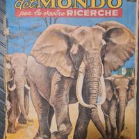 Album figurine Animali del mondo anni '70 completo