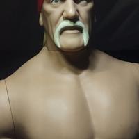 Hulk Hogan