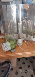 Kit completo Grow box da idroponica