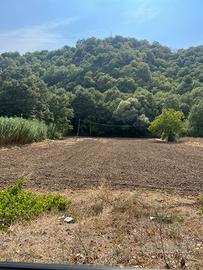 Terreno agricolo situato nel comune di Gambatesa