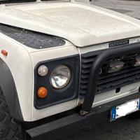 Bull Bar Defender completo di fari supplementari