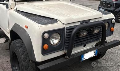 Bull Bar Defender completo di fari supplementari