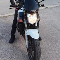 Cupolino Givi Suzuki GSR