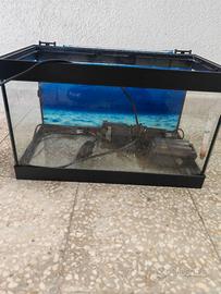 Acquario 20litri
