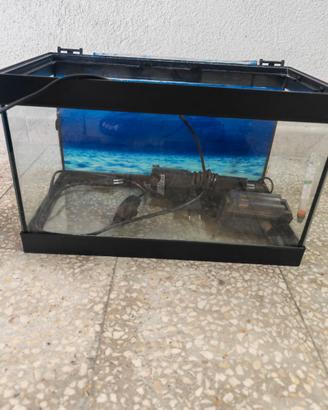 Acquario 20litri