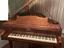 Immagine 6