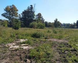Terreno agricolo in zona Sa Rodia