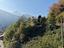 Immagine 7