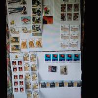 Francobolli e monete arabe e africane
I francoboll