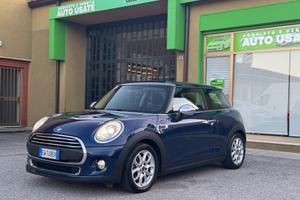 Mini 1.5 One D