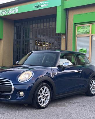 Mini 1.5 One D