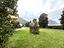 Immagine 14