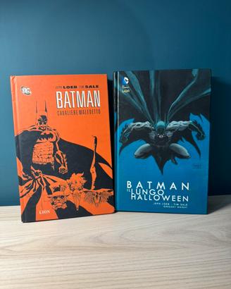 Lotto Batman Jeph Loeb & Tim Sale