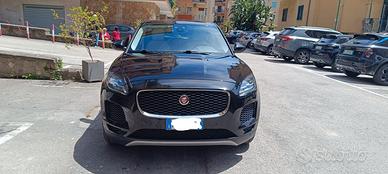 Jaguar e pace