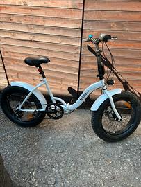 Bicicletta pieghevole Fat Bike