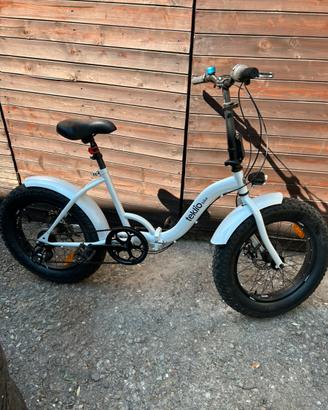 Bicicletta pieghevole Fat Bike