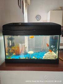 Acquario 26lt completo