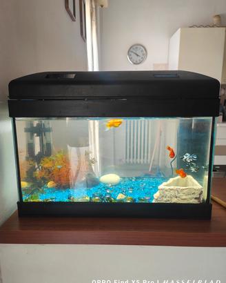 Acquario 26lt completo