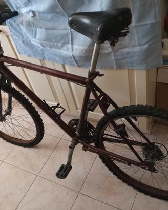 Bicicletta da montagna"del 26" in buone condizioni