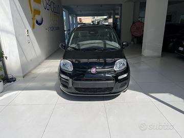 FIAT Panda 1.0 FireFly S&S Hybrid Icon tua da €1