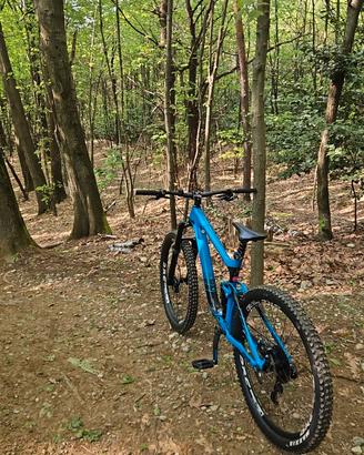 MTB Giant Reign Avdance taglia M