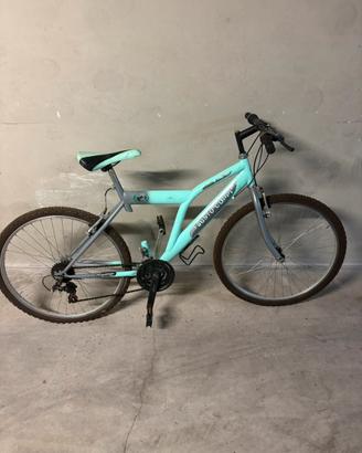 Bicicletta
