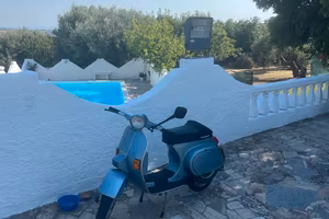 vespa 50 pk s