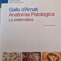 Anatomia Patologica Gallo d'Amati 1 e 2 La siste