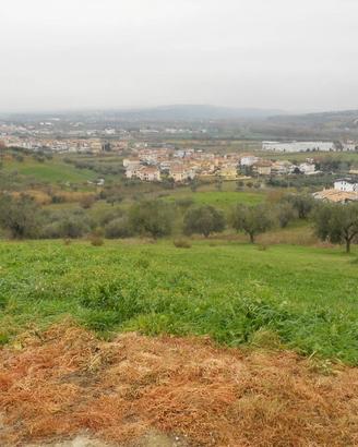 TERRENO AGRICOLO