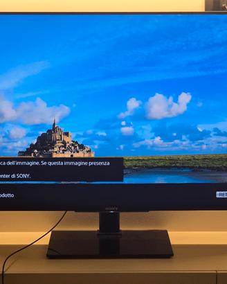 TV Sony Bravia  49" Smart