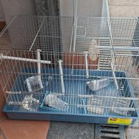 gabbia per uccellini 