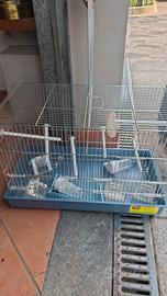 gabbia per uccellini 