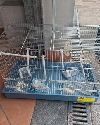 gabbia per uccellini 