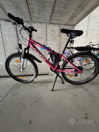 Mountain bike
