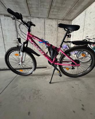 Mountain bike