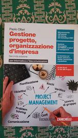 Gestione progetto, organizzazione d impresa